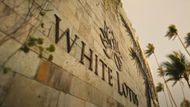 The White Lotus Logo | Image via HBO